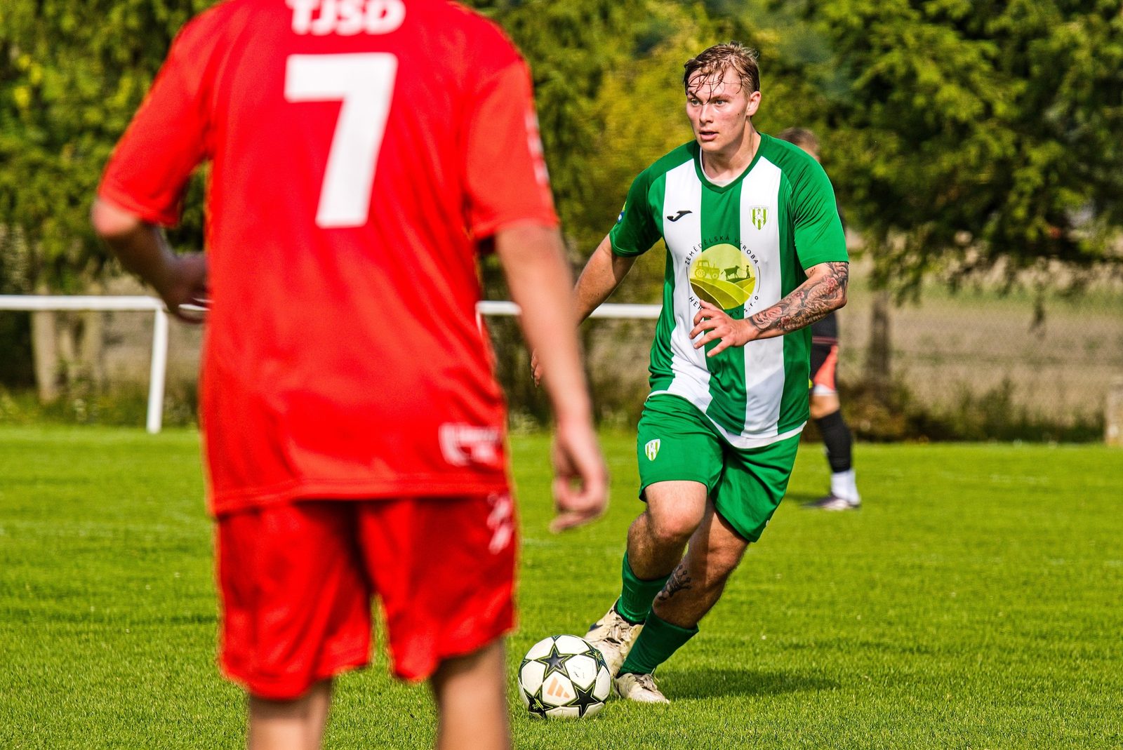 David Vodháněl
